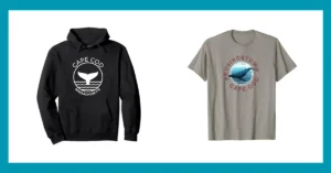 best whale watch cape cod