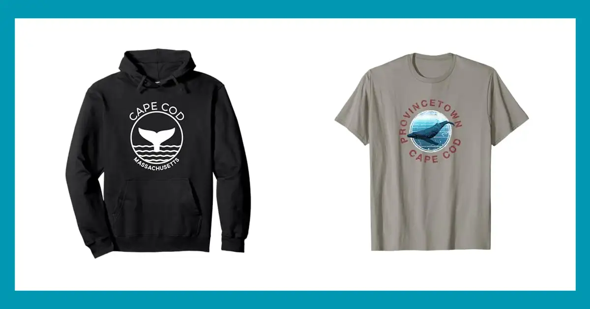 best whale watch cape cod