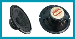 The 10 best 8″ guitar speaker