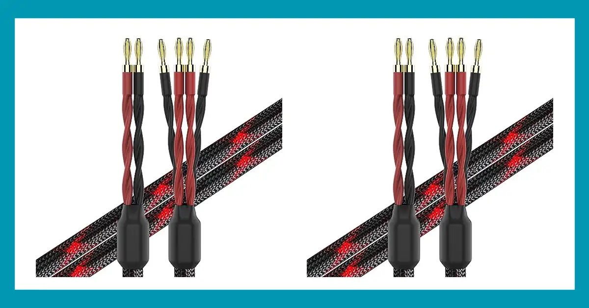 Top 10 Picks for the Best Bi Wire Speaker Cable Reviewed